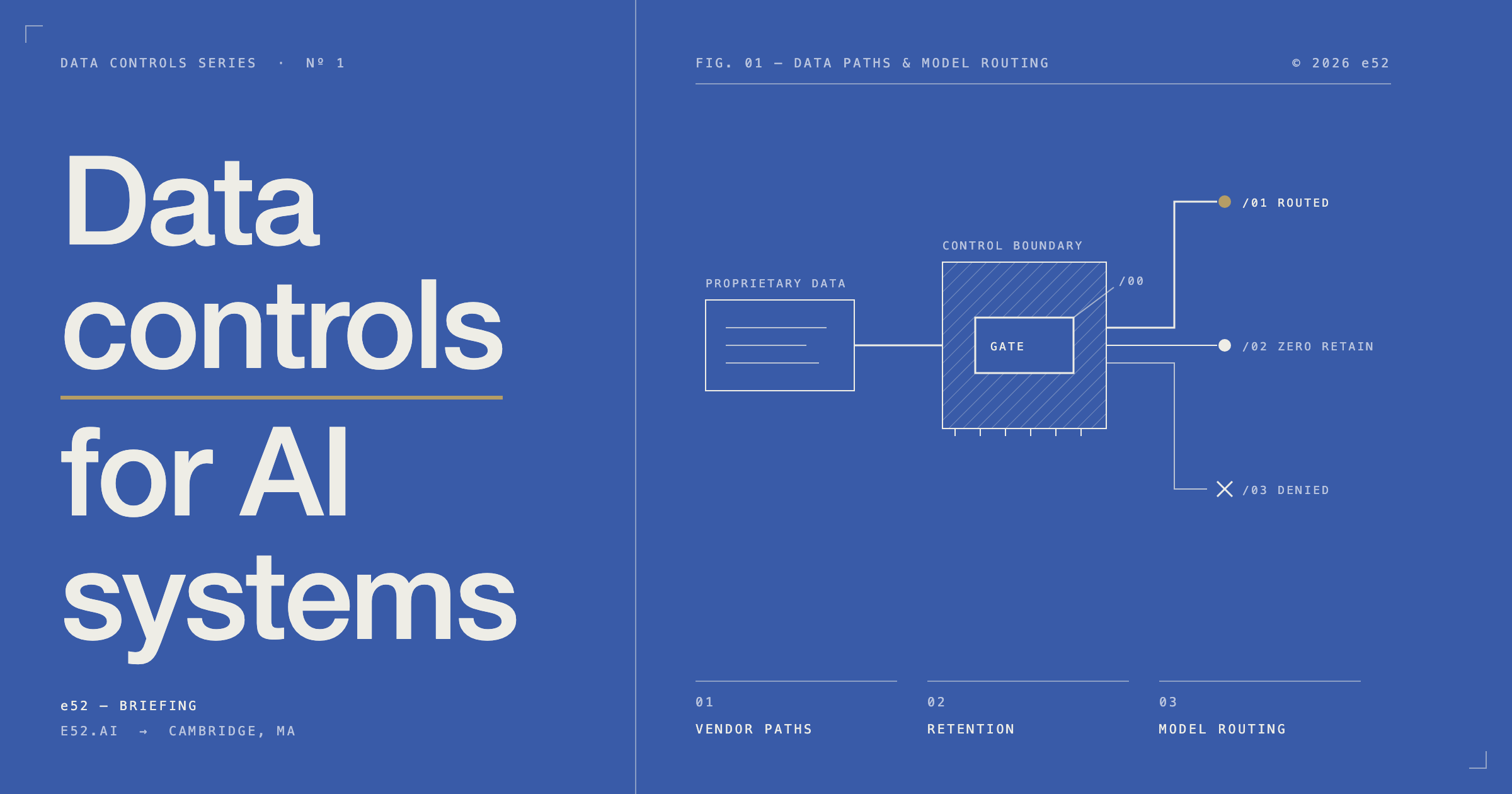 Data controls for AI systems, e52 briefing, series no. 1